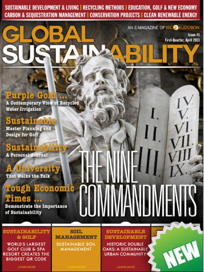 Global Sustainability front cover
