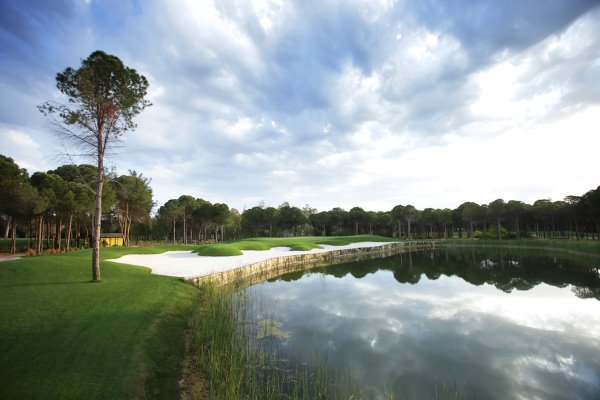 The Montgomerie Maxx Royal - 14th hole