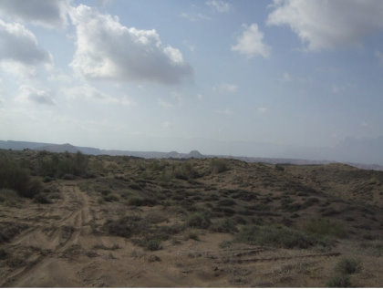 The sandy terrain of the Qurayyat site