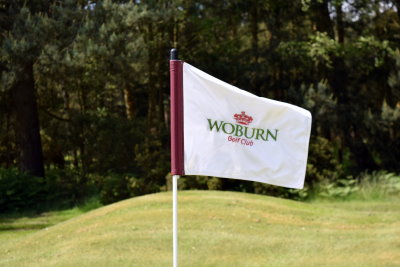 Woburn Pin and Flags 2015 (6)