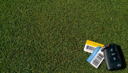 007 DSB is ideally suited to use on greens and tees thanks to its superior turf quality, high disease resistance, year-round deep green colour.