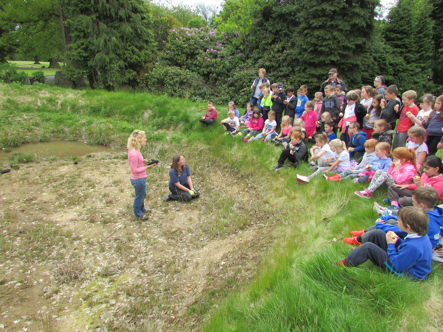 Fife Golf Trust Wildflower Project with Local School Children
